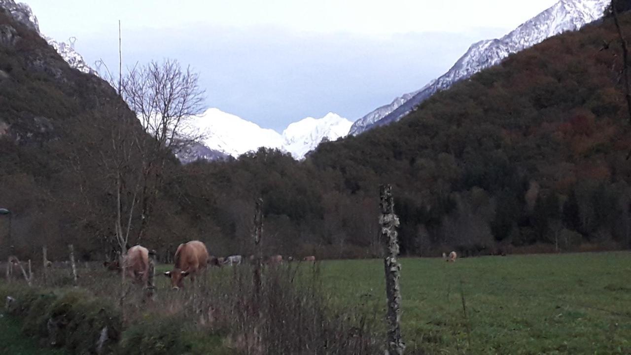 L'Or De Fabiol Villa Orlu Exteriör bild